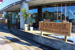 lndflr01.jpg