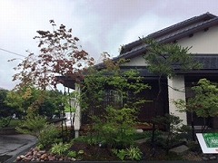 sakutuji001.jpg
