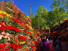 tlpfr201804.jpg